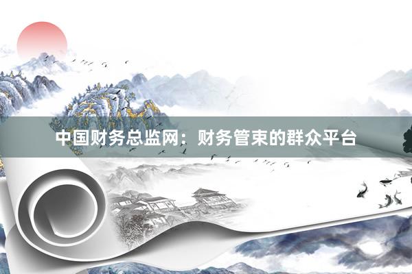 中国财务总监网：财务管束的群众平台