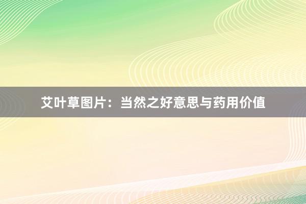 艾叶草图片：当然之好意思与药用价值