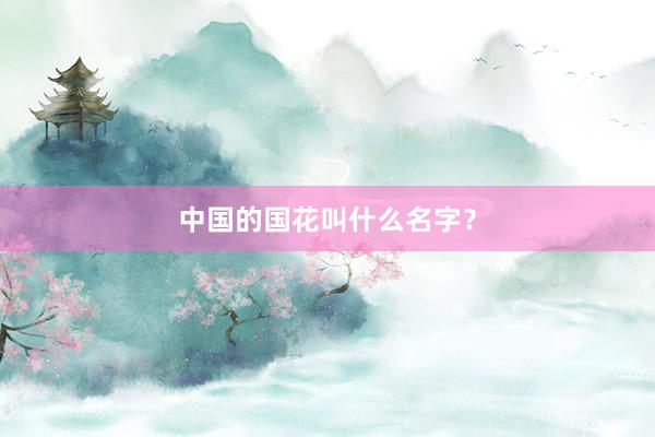 中国的国花叫什么名字？