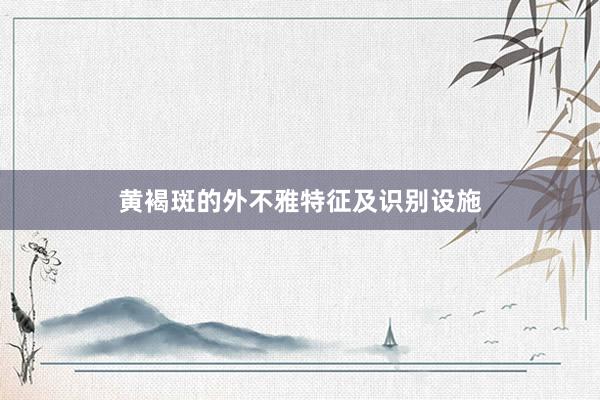 黄褐斑的外不雅特征及识别设施